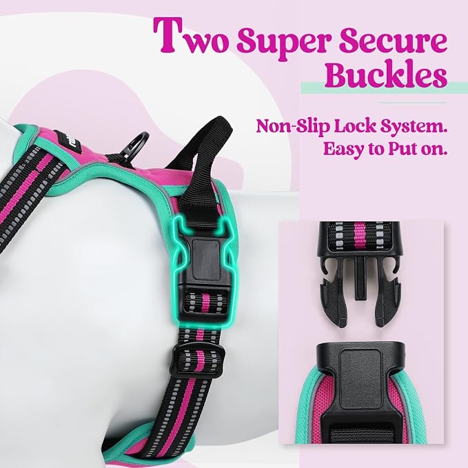 rabbitgoo Dog Harness, No Pull for Large Dogs with 2 Leash Clips, Pet Vest | No Choke with Handle, Adjustable Soft Padded, Reflective, Easy Control for Walking, Hot Pink & Turquoise, X-Large - Image 3