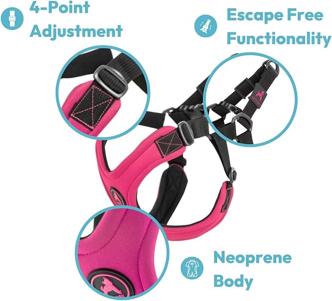 Gooby Escape Free Sport Dog Harness, Choke-Free, Lime, Large | Patented escape-free frame; Reduces choking; 4-point adjustment; Soft neoprene padding; Durable webbed straps - Image 3