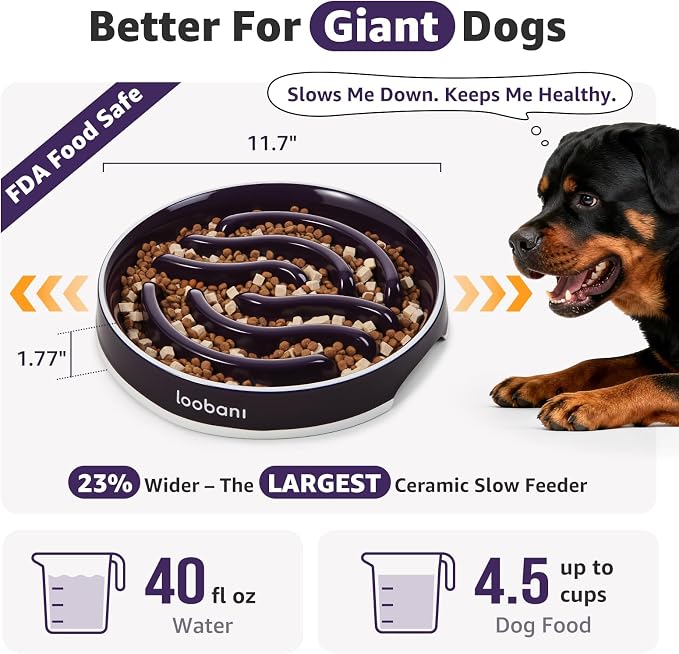 LOOBANI 4.5 Cups Ceramic Slow Feeder Dog Bowls Giant Dogs with Grip Handles | Heavy Ceramic, Stay in Place, Healthier Eating, Durable & Easy-Clean, Foam-Protected, Perfect for Fast-Eating Large Breeds - Image 2