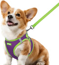 rabbitgoo Dog Harness Small Sized and Leash Set, Step in Soft Vest | Breathable Mesh, Easy Wear with Hook & Loop, Light and Reflective for Walking, Multi-colored, Purple & Green, L by rabbitgoo