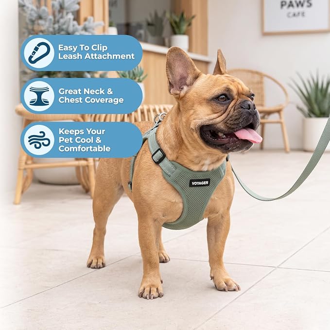 Best Pet Supplies Voyager Adjustable Step-in Flex Breathable Mesh Dog Harness for Small Medium Large Dogs Leash Set (Moss Green), XL - Image 2