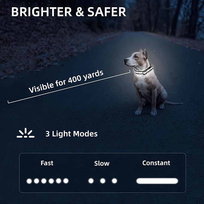 Super Bright LED Dog Collar - Fully Waterproof & Adjustable Glow Collar - USB-C Rechargeable for Night Walking, Safety - Flashing Lighted Collar for Dogs(White,Small) - Image 3