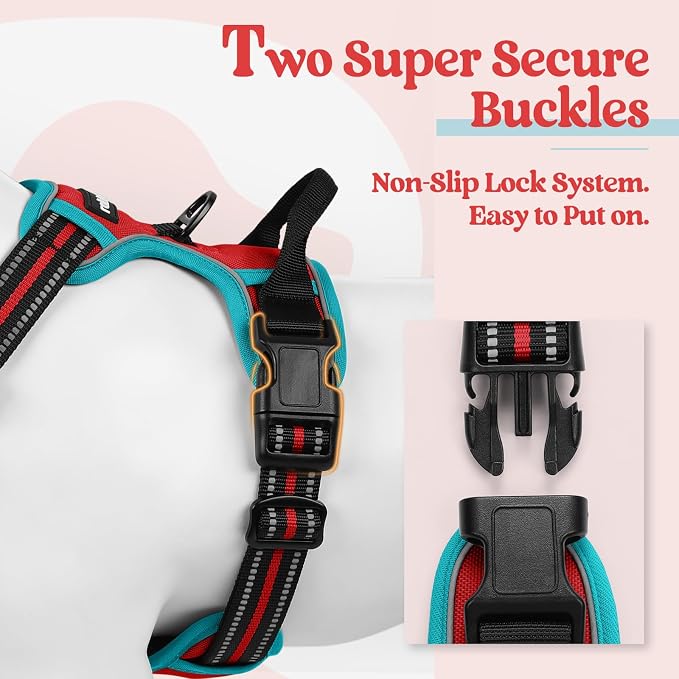 rabbitgoo Dog Harness, No Pull for Large Dogs with 2 Leash Clips, Pet Vest | No Choke with Handle, Adjustable Soft Padded, Reflective, Easy Control for Walking, Red & Teal, X-Large - Image 3