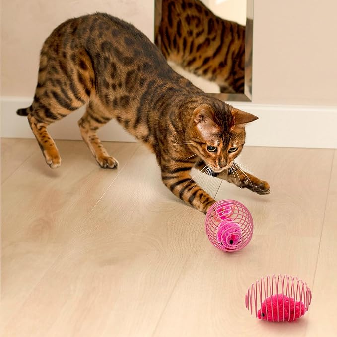 Jecery 25 Pcs Cat Toys Spring,Mouse and Bell,Colorful | Interactive Metal Cat Toy, Stretchable Rolling Ball, for Indoor Cats, Colorful Playful Coils, Kitten Pet Supplies - Image 5