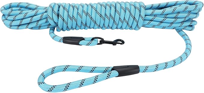 Long Dog Leash for Training 15Ft-Reflective Nylon Rope with Swivel Hook-Recall Agility Lead for Large Small Medium Dogs Outside Walking Hiking-Sky Blue Diam 1/2" by HiKiss
