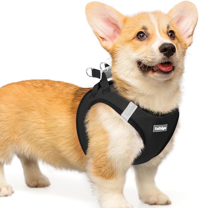 rabbitgoo Step-in Small Dog Harness, Puppy Vest for Small Medium Sized Pet | Easy Put on and off, Lightweight, Soft, Breathable Quick-Dry Air Mesh for Comfortable Secure Walking, Black L by rabbitgoo