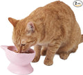 Kitty City Elevated Cat Bowls (Set of 2), Whisker-Friendly Raised Cat Food & Water Dishes, Modern Pedestal Design, Dishwasher Safe, 6.5 oz Each – Pink by KittyCity