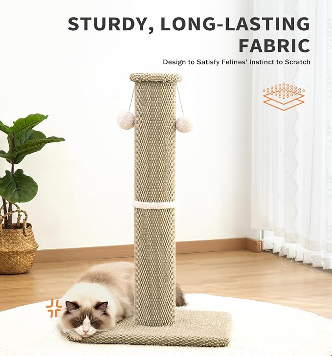 Made4Pets Cat Scratching Post, Carpet Cat Scratcher for Indoor Cats, 23.6" | Compact Base, Hanging Balls for Play, Easy Assembly with Tools, Vertical Scratching for Kittens and Smaller Cats, Beige - Image 8