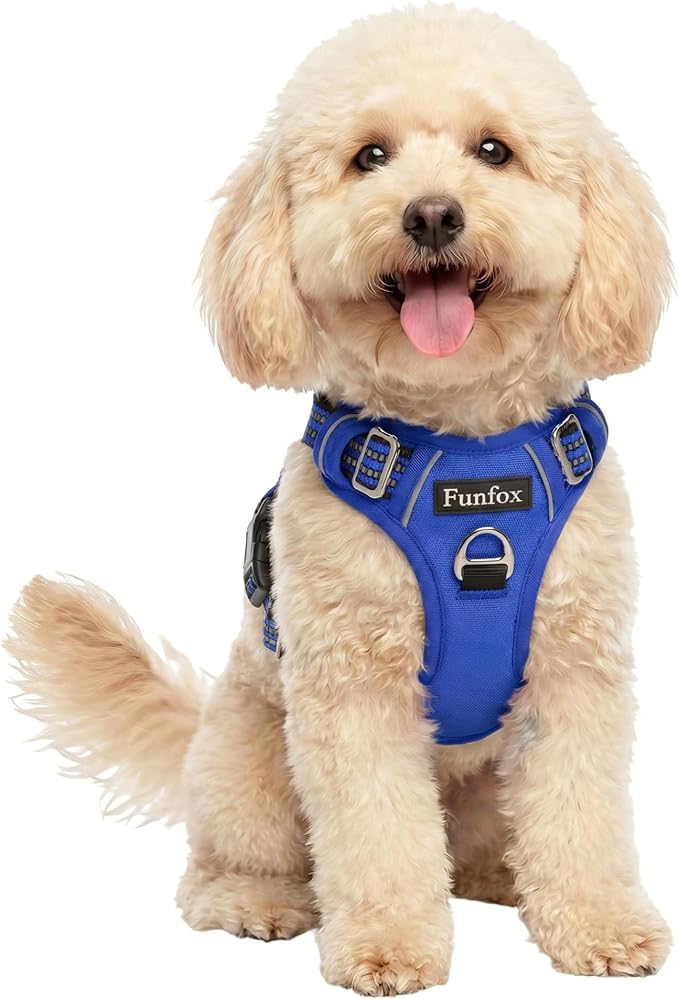 Dog Harness No Pull, Adjustable Pet Vest Harness, Super Soft Material with Vertical Handle Easy Control, Reflective Night Walking, 2 Leash Clips for Small Sized Dogs, Blue, S by MyFUNFOX
