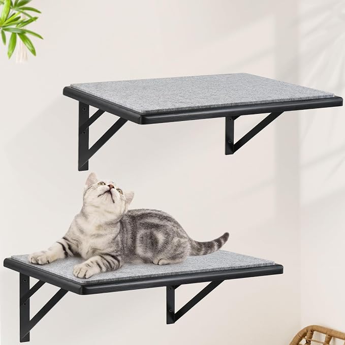 Cat Wall Shelves Set of 2, Wood Cat Shelves for Wall, Cat Wall Bed Hammock with Scratching Pad, Cat Climbing Shelf for Sleeping Playing, Cat Window Perch for Large Cats, Black Cat Furniture for Indoor by GADKE