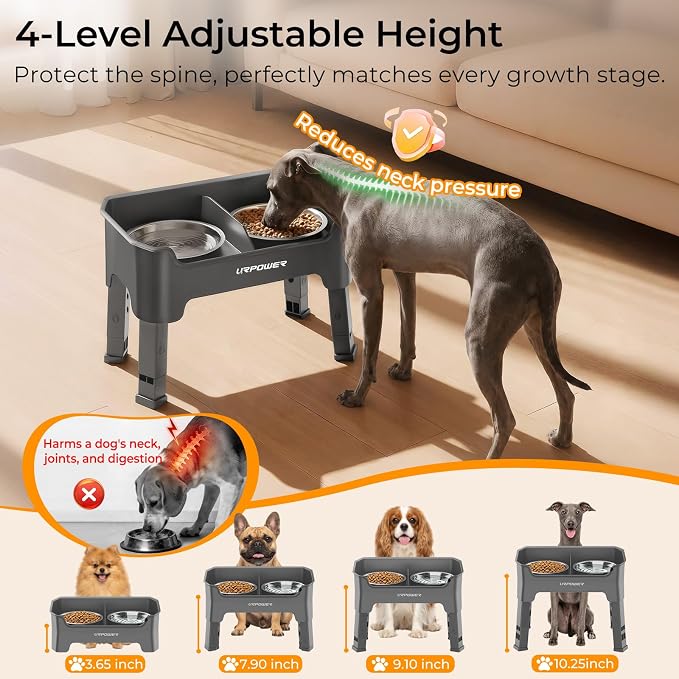 URPOWER Mess Proof Elevated Dog Bowls, Splash Guard Raised Bowl Stand | 4 Adjustable Heights, 2 Stainless Steel Bowls, Food & Water Separation, Non-Slip Base, Foldable Design for Small Dogs - Image 3