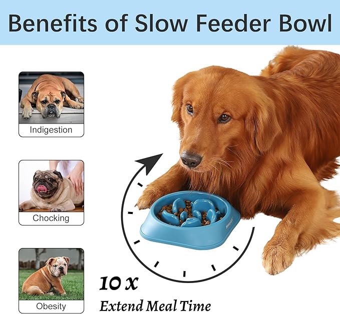 MateeyLife 2-Pack Slow Feeder Dog Bowls, 2 Cups, Dog Puzzle Feeder Bowl | Food-contact safe, dishwasher safe, non-slip base, maze design, for fast eaters, for dogs and cats, daily mealtimes - Image 2