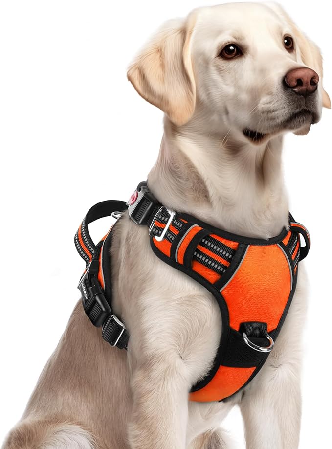rabbitgoo Dog Harness for Large, No Pull 3 Buckles Easy On & Off | Soft Padded, Walking with Control Handle, Adjustable and Reflective, Orange, Large by rabbitgoo