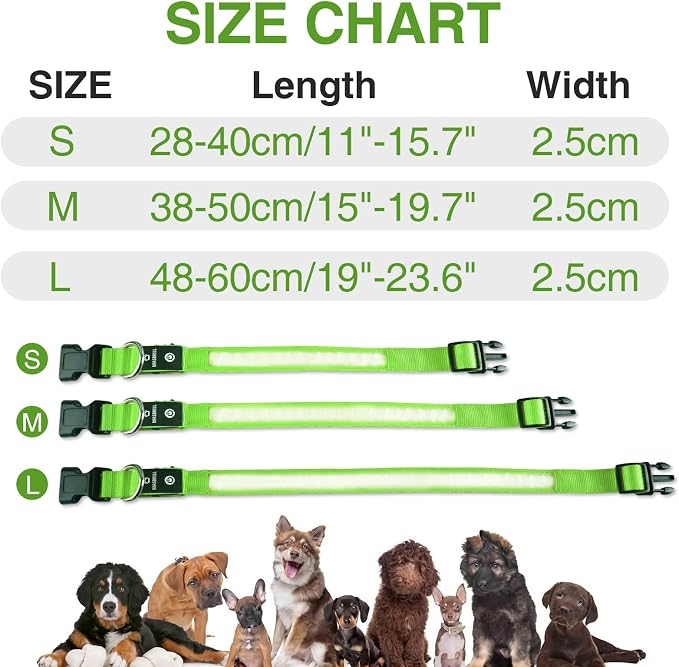 MASBRILL LED Dog Collar - Light Up Dog Collars Rechargeable - Waterproof Night Walking Glowing Dog Collar for Small, Medium, Large Dogs - Image 3