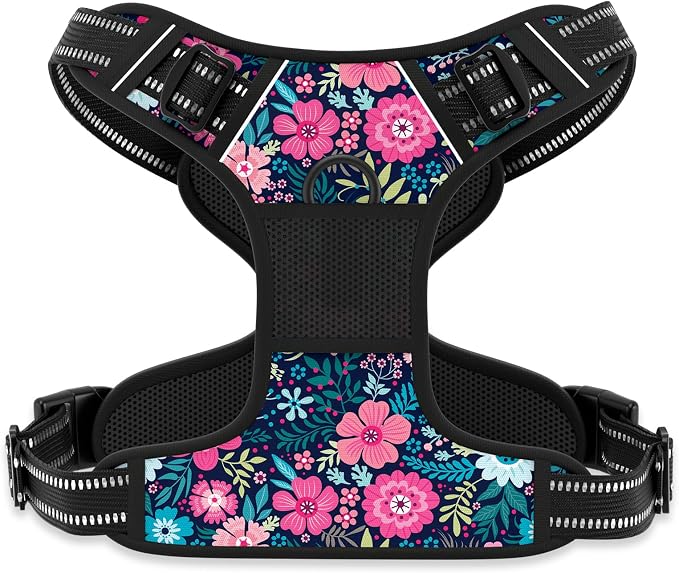 Rnivvi No Pull Dog Harness, Cute Flower Reflective Small Sized Puppy Kitten Harness, Adjustable Soft Padded Vest for Small Dogs, Cats, Heavy Duty Pet Vest with Easy Control Handle for Walking, Elegant by Rnivvi