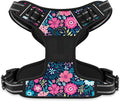 Rnivvi No Pull Dog Harness, Cute Flower Reflective Small Sized Puppy Kitten Harness, Adjustable Soft Padded Vest for Small Dogs, Cats, Heavy Duty Pet Vest with Easy Control Handle for Walking, Elegant by Rnivvi