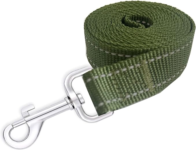 Reflective Dog Leash 4Ft /6 Feet Long, 3/4 Inch Wide, for Small and Medium Dogs - Image 2