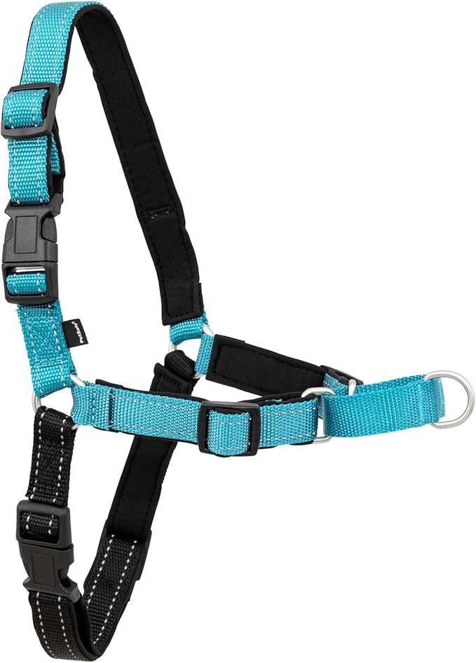 Petsafe Deluxe Easy Walk Harness, Small, Ocean Blue, Model:EWH-D-HC-S-OCN | Padded Neoprene Straps, Reflective Strips for Night Safety, Martingale Loop Curbs Pulling from the Chest, Not the Throat by PetSafe