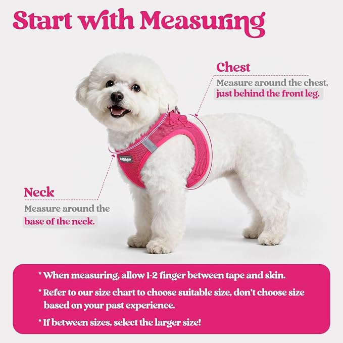 rabbitgoo Dog Harness Small Sized and Leash Set, Step-in Puppy Pet Vest | Light, Soft, Breathable Air Mesh, Easy on and Remove with Hook & Loop, Secure Reflective for Walking, Rose Red M - Image 2