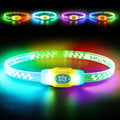 LaRoo LED Light Up Dog Collar, Multi-Color Glowing Safety Pet Collar, Rechargeable Night Visibility Collar, Pet Safety Collar Makes Your Beloved Dogs Be Seen at Night for Small Medium Dogs(Blue) by LaRoo