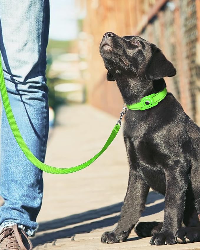 6FT Reflective Dog Leash, Padded Handle for Small Medium Dogs | Comfortable Nylon, Soft Handle Cushioning, Reflective Safety at Night, Walking Leash for Park & Hiking (3/4in, Green) - Image 6