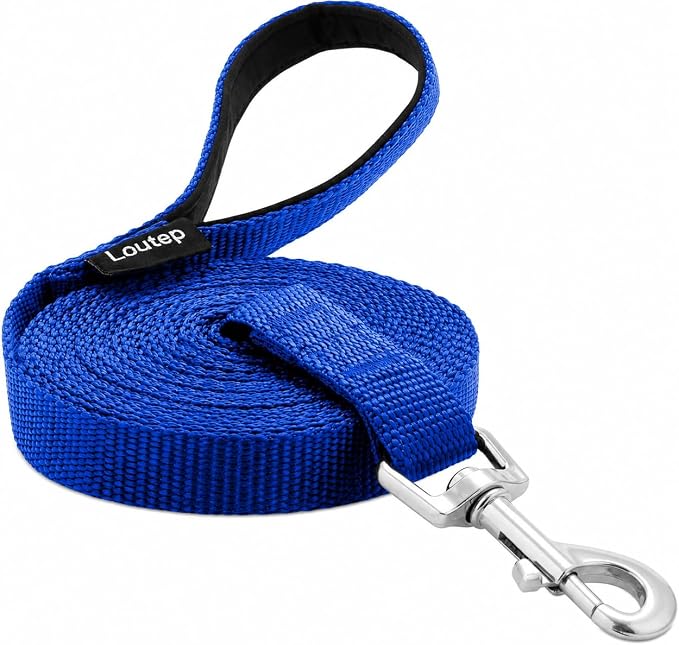 Long Line Dog Training Leash with Padded Handle, 100 ft, Blue | Durable nylon webbing with reinforced stitching and 360° swivel clip for recall and obedience by Loutep