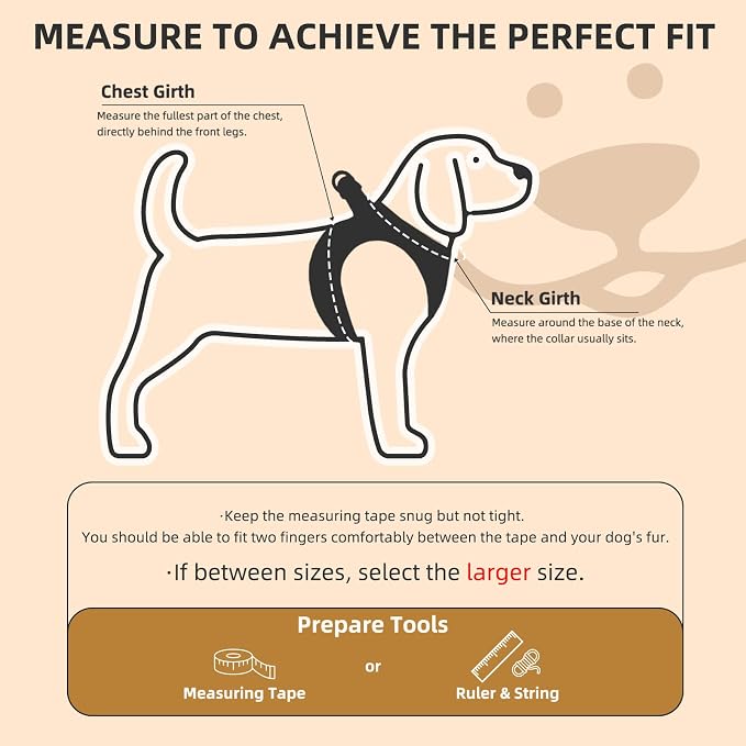 PUPTECK Dog Harness, Collar and Leash Set No Pull for Small Medium Sized | Plaid Puppy Step-in Escape Proof Reflective No Choke Pet Cat Adjustable Walking Vest - Image 2