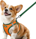 rabbitgoo Dog Harness Small Sized and Leash Set, Step in Soft Vest | Breathable Mesh, Easy Wear with Hook & Loop, Light and Reflective for Walking, Multi-colored, Orange & Dark Green, L by rabbitgoo