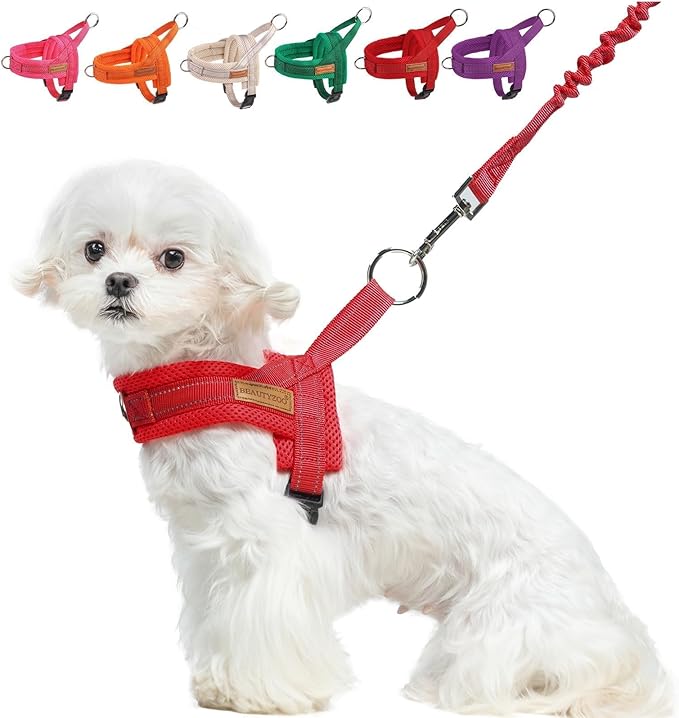 BEAUTYZOO Small Dog Harness and Leash Set, No Pull Step in Puppy Vest | Breathable Mesh with Handle, Reflective, Adjustable No Choke Escape Proof, Lightweight, Easy Control for Walking, Red XS by BEAUTYZOO