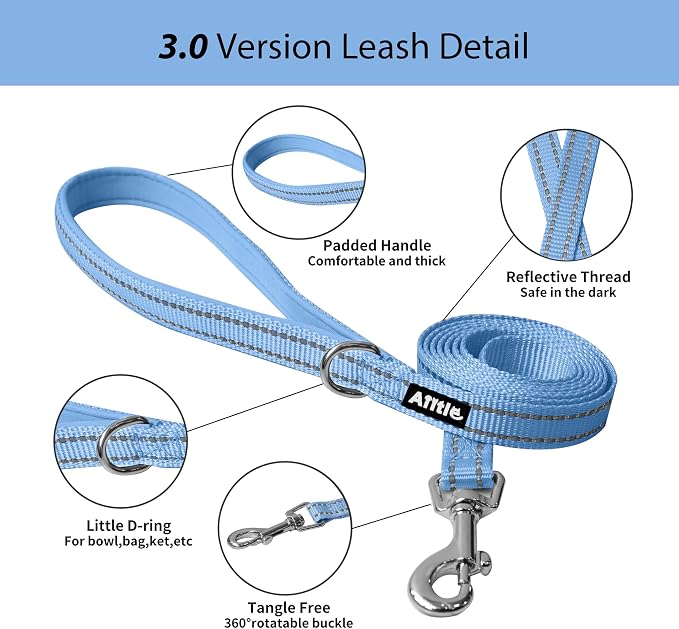 AIITLE Medium Dog Harness and Leash Set, Step-in Puppy Pet Vest, Blue L | Light, Soft, Breathable Air Mesh, Escape-Proof, Easy on and Remove with Hook & Loop, Secure Reflective for Walking - Image 6