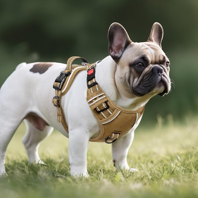 Timos Dog Harness Small Sized, Neck Quick Release with 3 Buckles, Khaki, S | Easy On & Off, No Pull No Choke, Adjustable Reflective Soft Padded, Front & Back 2 Clips and Handle for Walking Training - Image 7