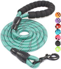 2/4/5/6 FT Dog Leash with Comfortable Padded Handle and Highly Reflective Threads for Small Medium and Large Dogs (5FT-1/2'', Turquoise) by BAAPET