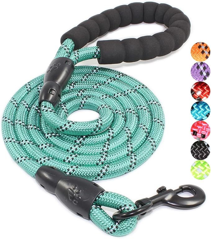 2/4/5/6 FT Dog Leash with Comfortable Padded Handle and Highly Reflective Threads for Small Medium and Large Dogs (5FT-1/2'', Turquoise) by BAAPET