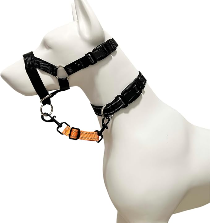 Dog Collar Safety Clip, Reflective Double-Ended Backup Connector for Harness to Collar, Adjustable Safety Clip for Prong, Pinch Collars, Prevents Escapes & Accidental Disconnection - Image 7