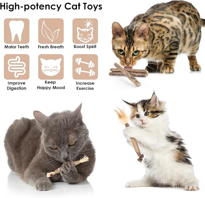 Bissap 10 PCS Silvervine Chew Sticks for Cats, Catnip Chew Sticks Cat Toys for Indoor Cat Kitten Teeth Grinding Interactive Feather Toys for Aggressive Chewers Dental Care - Image 2