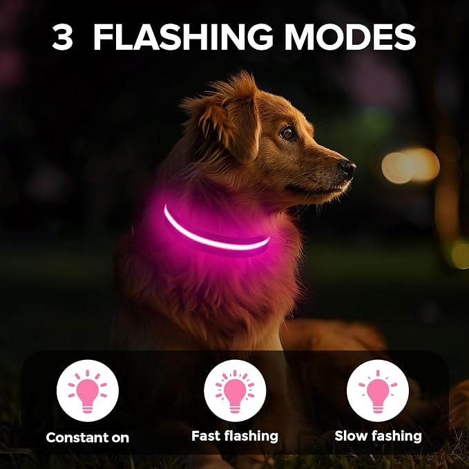 LED Dog Collar, Light Up Dog Collar USB-C Rechargeable Waterproof | 360° Visibility Light Up Dog Collar, Adjustable Nylon Collar with 3 Modes for Small Medium Large Dogs Night Walk Pink L - Image 2
