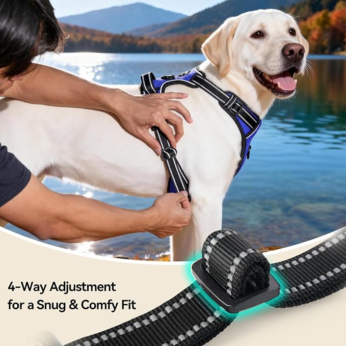 No Pull Dog Harnesses for Small Puppies Reflective Adjustable | Front Clip Vest with 2 Metal Leash Attachment Hooks Soft Handle [Over The Head Design](L, Royal Blue) - Image 6