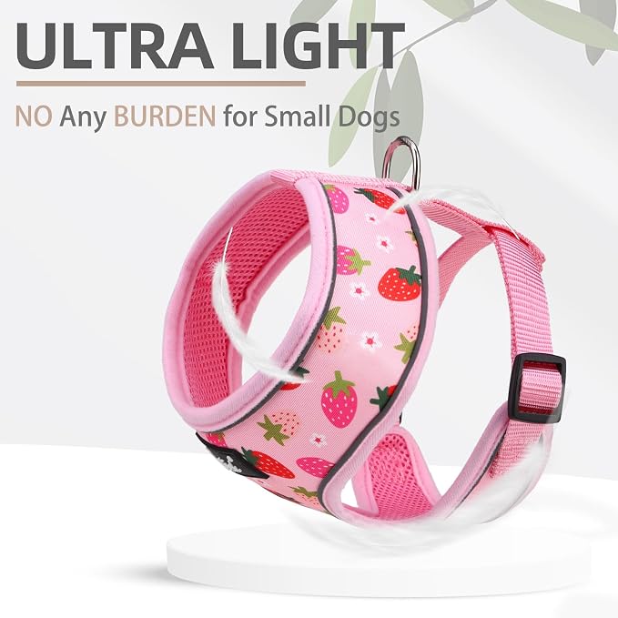 PUPTECK Small Dog Harness and Leash Set No Pull for XS XXS Sized Dogs Puppy | Escape Proof No Choke Pet Cat Adjustable Soft Padded Walking Vest - Image 5