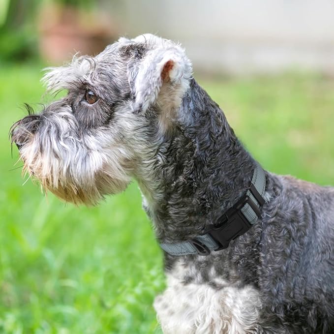 Joytale Reflective Dog Collar, Adjustable Neoprene Padded, Gray M | Breathable Nylon for Medium Dogs, No Chafing on Walks and Backyard Play, All-Day Comfort, Metal D-Ring, Night Safety - Image 2