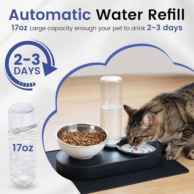 Raised Dog Cat Food Bowl, Cat Food and Water Bowl Set with Water Dispenser, Stainless Steel Bowls and Feeding Mat, Food Feeding Dishes for Indoor Cats and Small Dogs, Black - Image 5
