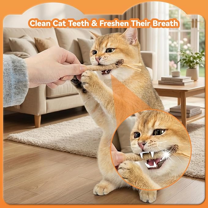 6Pcs Silvervine Sticks for Cats with Catnip Bag, Cat Chew Toys for Teeth Cleaning and Anxiety Relief, Natural Dental Care Kit for Indoor Cats & Kittens - Image 4