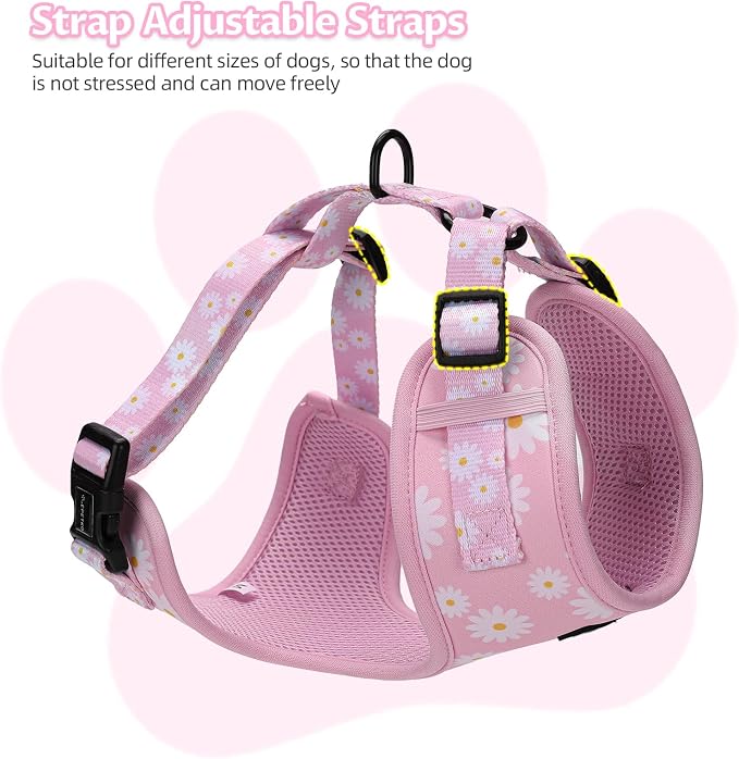 Small Dog Harness and Leash Set of 6, No Pull Soft Lightweight Mesh Puppy Harness， Adjustable Cute Floral Pattern Pet Harness for Small Medium Dogs (Pink Flowers, XS) - Image 5