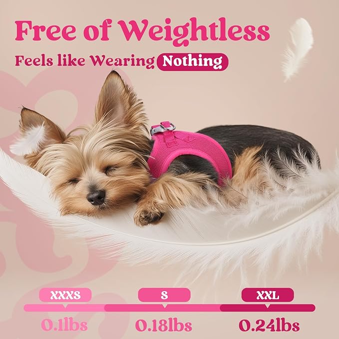 rabbitgoo Step-in Small Dog Harness, Puppy Vest for Small Sized Pet | Easy Put on and off, Lightweight, Soft, Breathable Quick-Dry Air Mesh for Comfortable Secure Walking, Rose Red XS - Image 4
