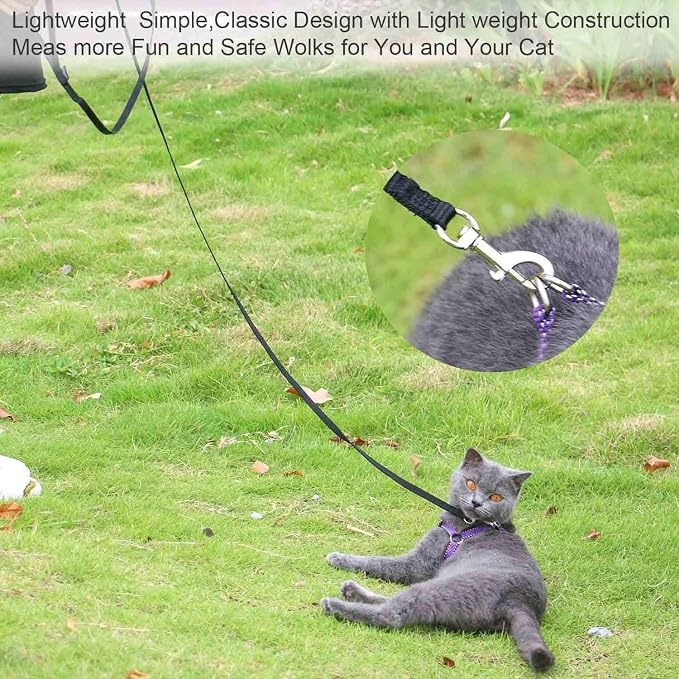 AMAGOOD 6 FT Cat Leashes, Strong Traditional Style Leash with Easy to Use Collar Hook,Cat Lead Great for Cats (Black(Pack of 1),3/8" x 6 Feet) - Image 2