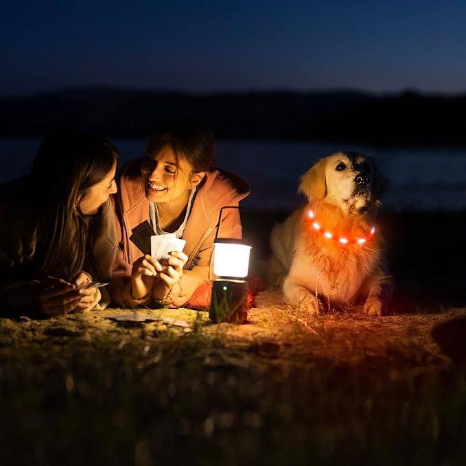 HIGO LED Dog Collar, Rechargeable Light Up Dog Collars, Lightweight Silicone Pet Safety Collar Lights for Night Walking (Orange-Silicone) - Image 6