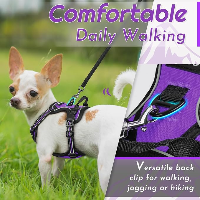 Eagloo Dog Harness for Small Dogs, No Pull Pet Vest with 2 Leash Clips | No Choke with Handle, Adjustable Comfort Fit, Reflective Strips, Easy Walking Control, Purple, X-Small - Image 4