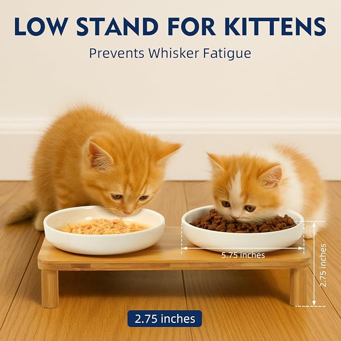 DoogCat Raised Cat Bowls, Bamboo Stand with 2 Ceramic Bowls | Adjustable Height, Whisker-Friendly Design, Food & Water Set, Stable Construction, Easy to Clean - Image 3