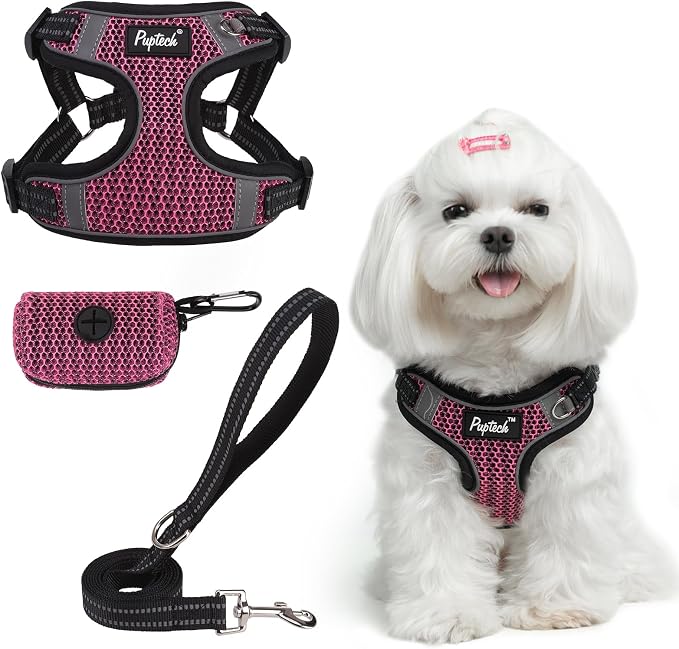 PUPTECK Dog Harness and Leash Set Small Sized, Step in No Pull Adjustable Puppy Cat Harness Reflective Pet Vest by PUPTECK