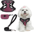 PUPTECK Dog Harness and Leash Set Small Sized, Step in No Pull Adjustable Puppy Cat Harness Reflective Pet Vest by PUPTECK