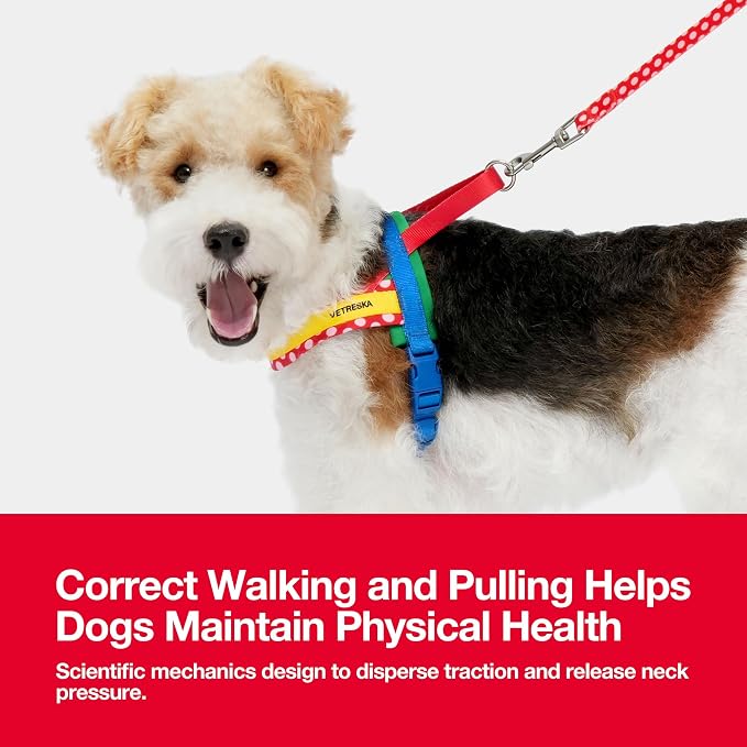 VETRESKA MoMA Dog Harness and Leash Set, No-Pull Puppy Harness (Red, S) | for Walking and Training, Easy Walk Dog Harness for Small Medium Dogs, Adjustable, Take Control & Anti-Twist Pet Lead Combo - Image 3